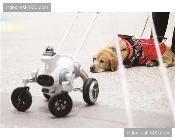 波士顿马拉松为视障跑者引入新型导盲犬机器人进行测试