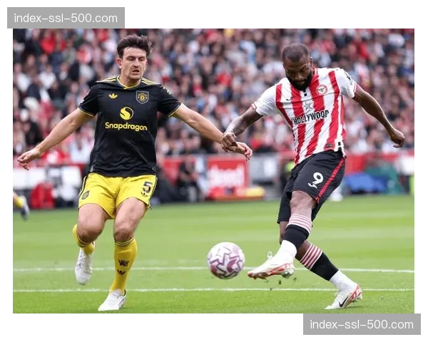 英超：布伦特福德1-0小胜埃弗顿