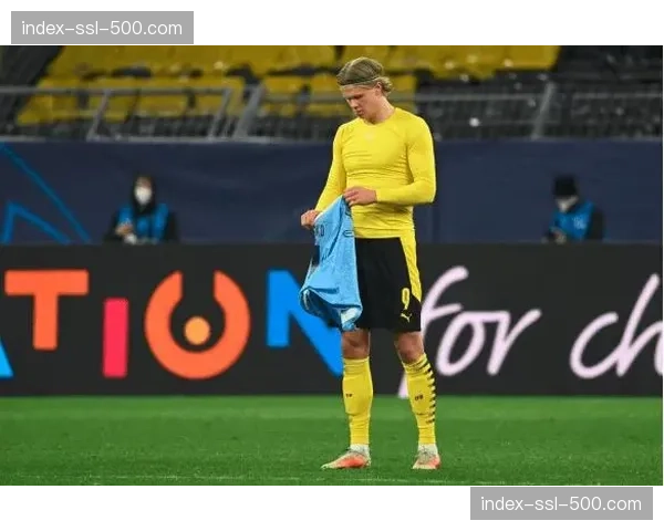 德甲引进新型可穿戴设备，用于实时监测球员负荷与伤病风险