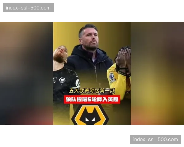 狼队进攻端持续哑火，锋无力问题最终导致球队提前降入英冠。