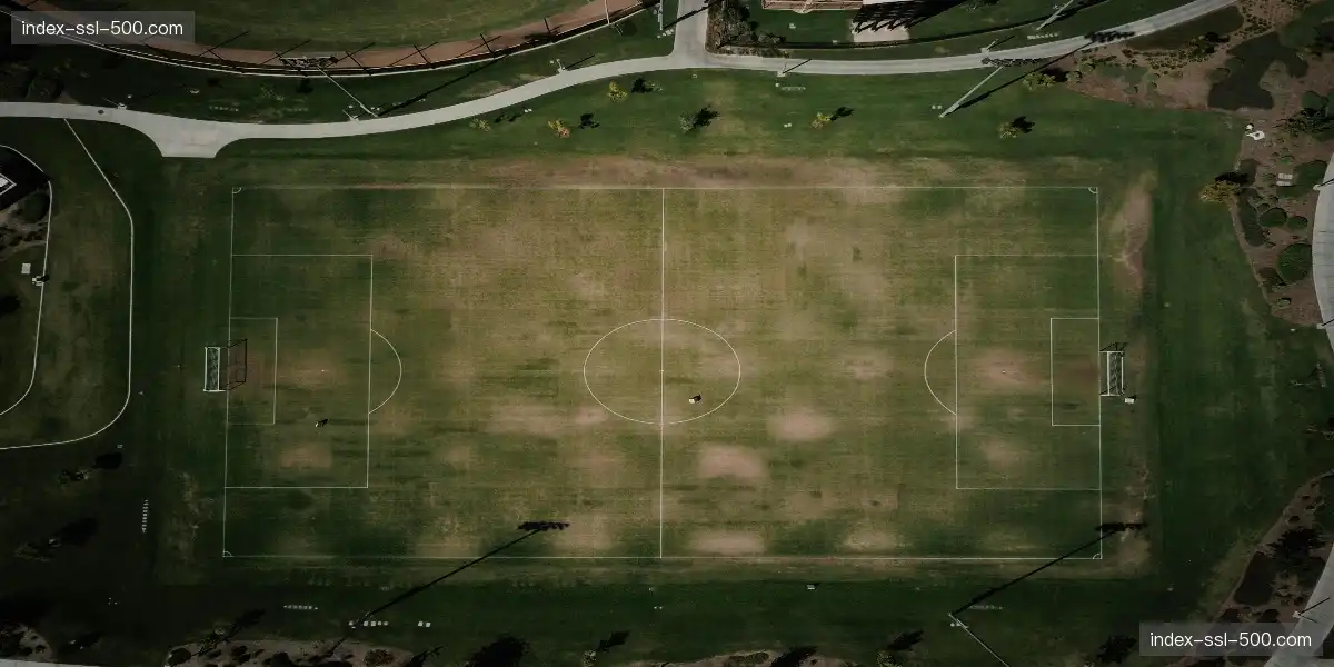 📱 生成你的赛季报告，回顾一路热血相伴，专业观赛更带感！📊